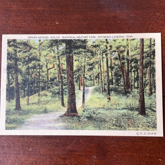 Vintage Linen Postcards of Shiloh National Park - Picture 3 of 8